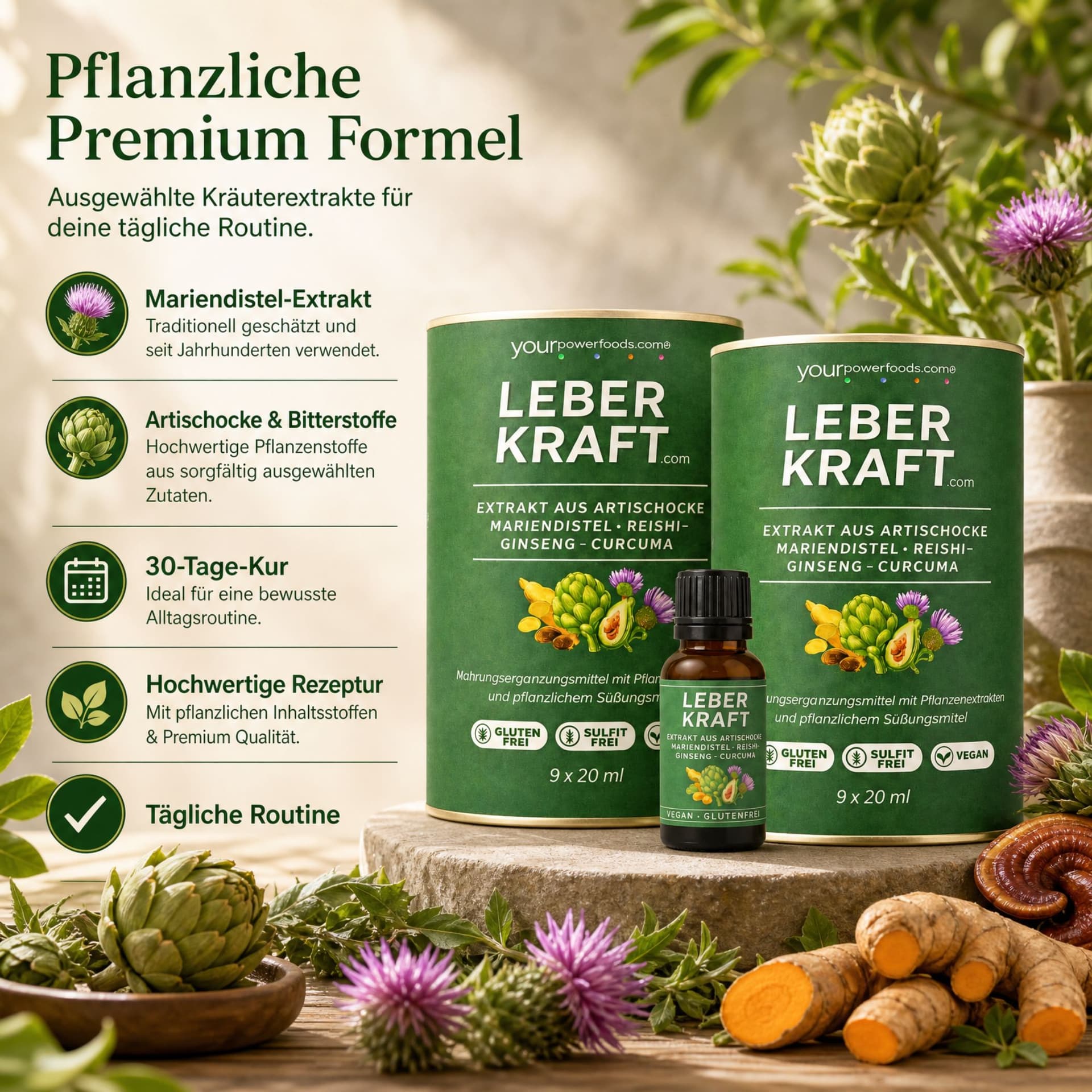 Leberkraft.com | Das Original | 30-Tage-Leber-Boost mit den Kräften von Artischocke & Mariendistel