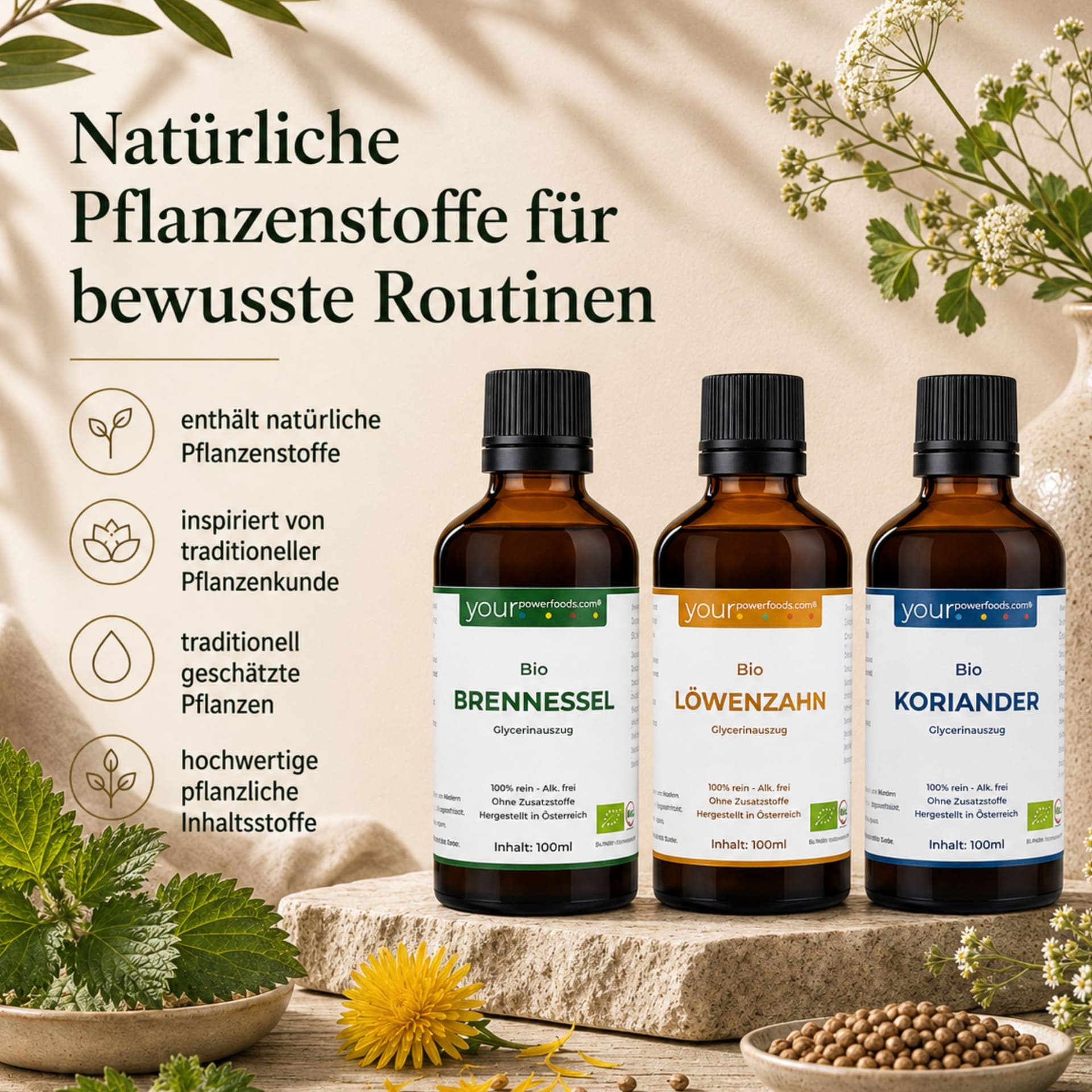 Detox Balance Bundle – drei Braunglas-Tropfflaschen mit Bio-Brennessel, Bio-Löwenzahn und Bio-Koriander auf Steinuntergrund