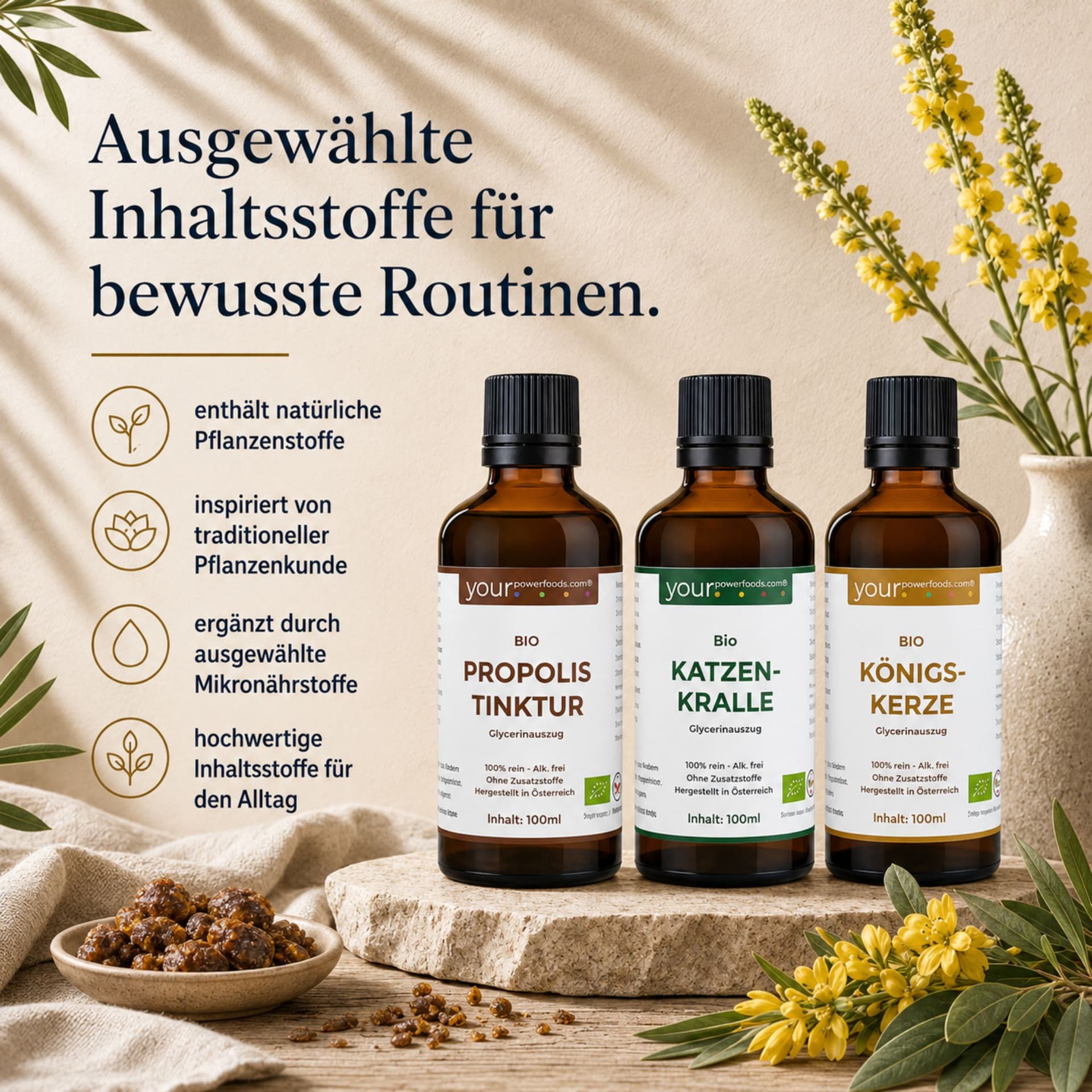 Immun Balance Bundle – Königskerze, Katzenkralle & Propolis: drei Braunglas-Tinkturen auf Stein, Infografik mit Pflanzenstoff