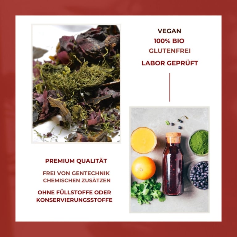 Bio Dulse Flocken aus Wildernte, 200g, Palmaria palmata