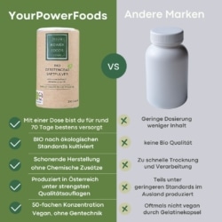 Gerstengras Pulver 05