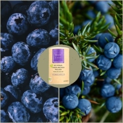 Bio Waldheidelbeeren Pulver, Premium Qualität, 400g