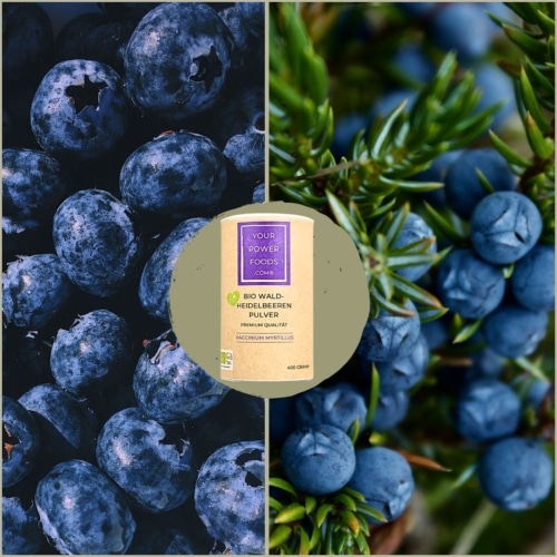Bio Waldheidelbeeren Pulver, Premium Qualität, 400g