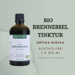 Brennessel 04