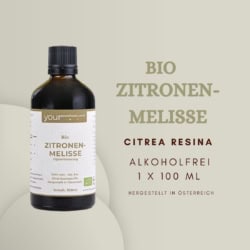 Zitronenmelisse 03