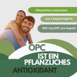 OPC 500mg - Weintraubenextrakt - hochdosiert, nur 1 Kapsel täglich