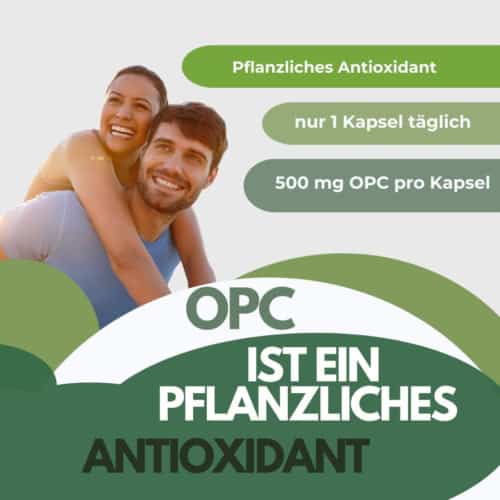 OPC 500mg - Weintraubenextrakt - hochdosiert, nur 1 Kapsel täglich