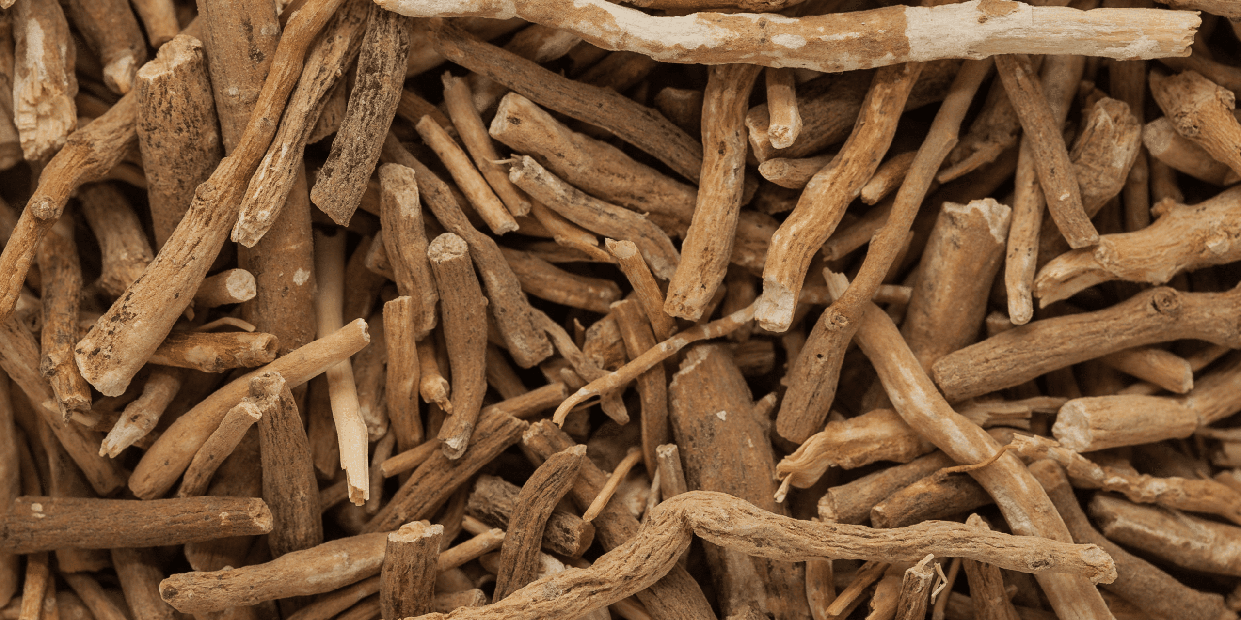 Ashwagandha Die Zauberwurzel für Körper und Geist