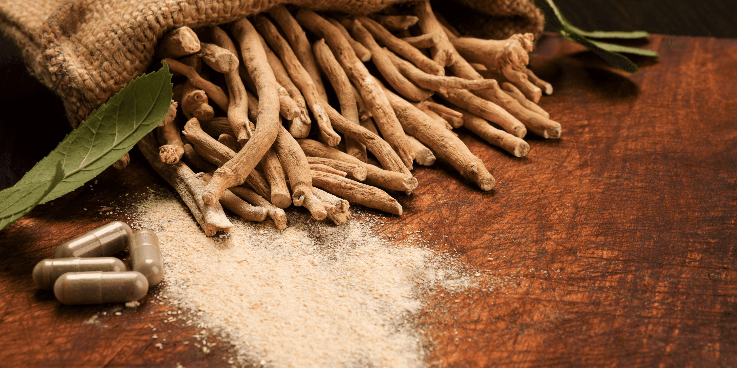 Die richtige Anwendung von Ashwagandha-Tinktur Dosierung und Sicherheitsrichtlinien