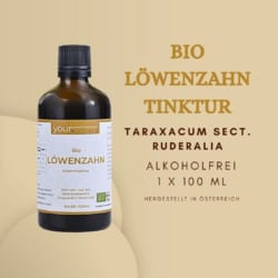 Bio Löwenzahn Tinktur, alkoholfrei, 100 ml