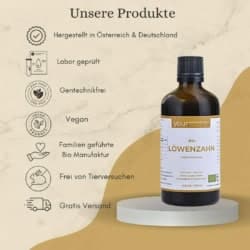 Loewenzahn 04
